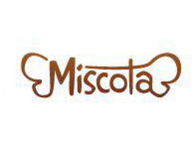 Veta online de comida y productos para mascotas | MISCOTA