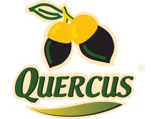 QUERCUS. Venta de jamones ibéricos online