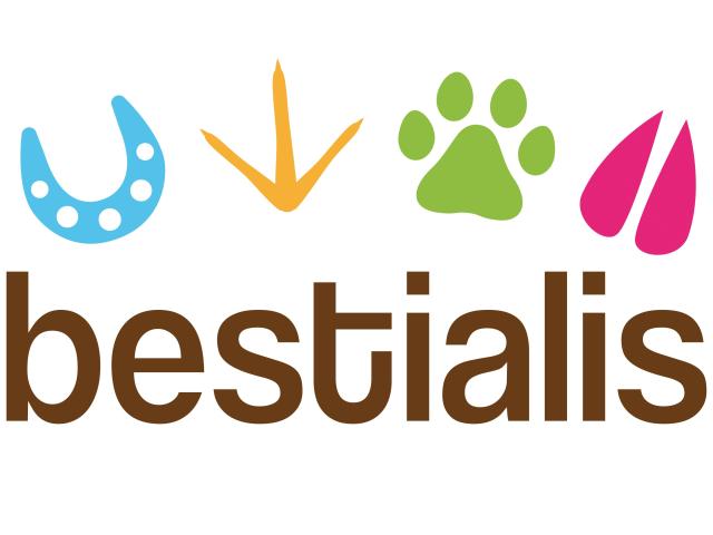 Tienda de productos para mascotas | Bestialis