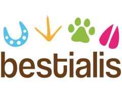 Tienda de productos para mascotas | Bestialis