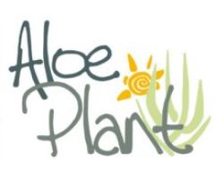 Venta Online de Aloe Vera | Aloeplant
