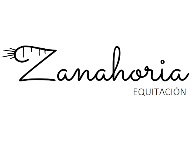 Zanahoria Equitación - Ropa Ecuestre, Polos, Camisas, Sudaderas