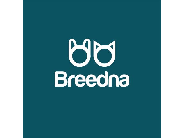 Breedna Pet Food | Tienda de comida para perros y gatos
