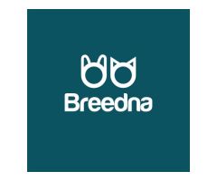 Breedna Pet Food | Tienda de comida para perros y gatos