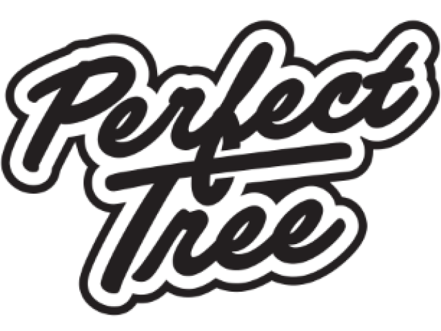 Perfect Tree Seeds | Tienda de semillas