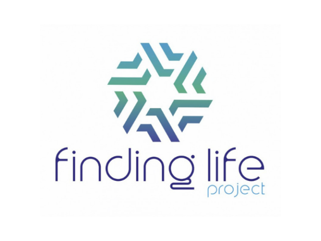 Finding Life | Extintores y accesorios contra incedios