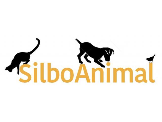 Tienda online de productos para mascotas | SilboAnimal