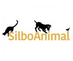 Tienda online de productos para mascotas | SilboAnimal