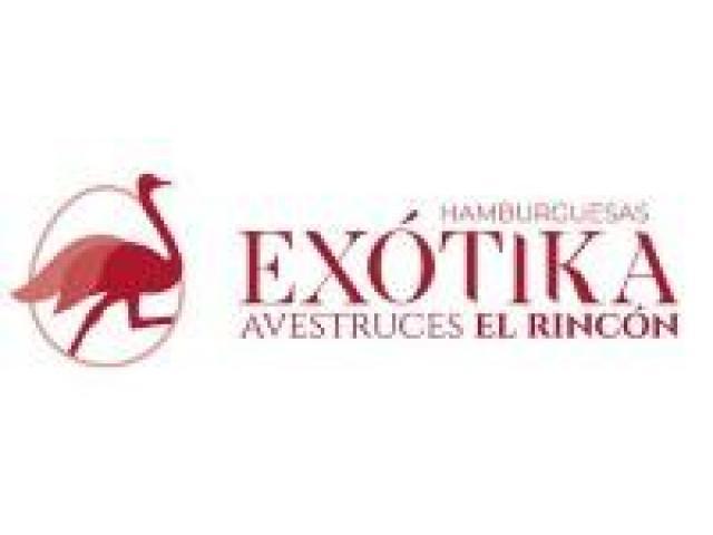 Hamburguesas gourmet online | Avestruces El Rincón Hamburguesas gourmet online | Avestruces El Rincón