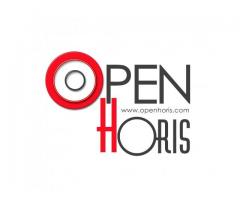 Bazar online con miles de productos variados | Openhoris