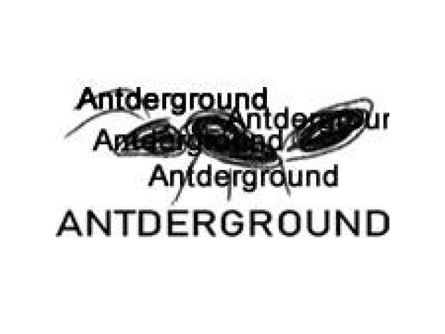 Tienda de hormigueros artificiales | Antderground