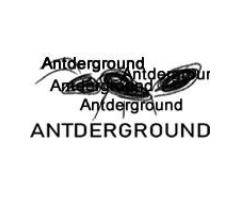 Tienda de hormigueros artificiales | Antderground